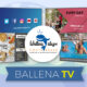 Ballena TV
